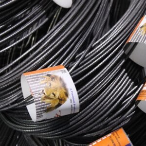 SD Lion TMT Bars
